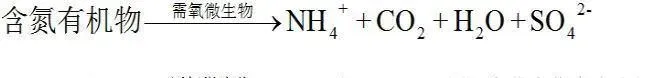 利水素+速效解毒灵组合降解池塘亚硝酸盐效率高