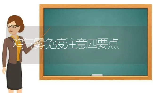 鸡气雾免疫注意四要点 | 家禽养殖