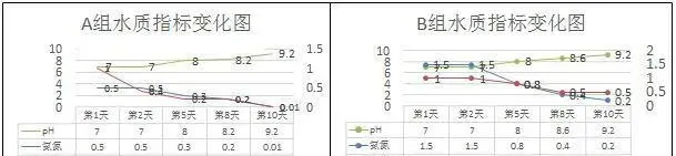 【厂家测评】不同渔肥在小水体中培藻能力的实验对比