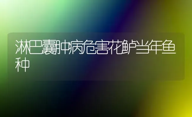 淋巴囊肿病危害花鲈当年鱼种 | 淡水养殖