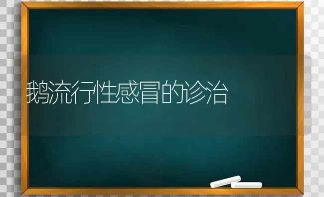 鹅流行性感冒的诊治 | 家禽养殖