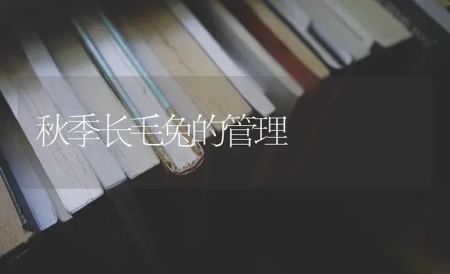 秋季长毛兔的管理 | 家畜养殖