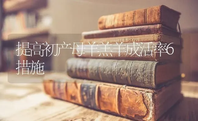 提高初产母羊羔羊成活率6措施 | 家畜养殖