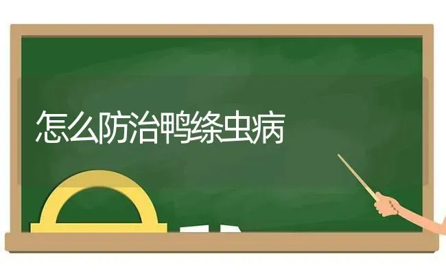 怎么防治鸭绦虫病 | 家禽养殖