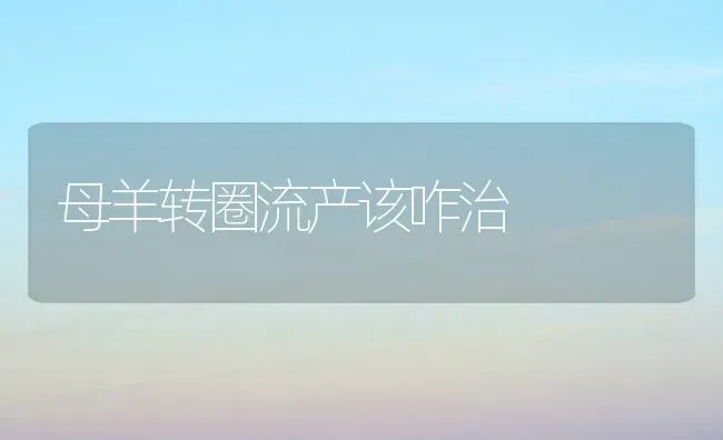 母羊转圈流产该咋治 | 家畜养殖