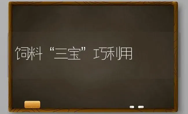 饲料“三宝”巧利用 | 动物养殖饲料