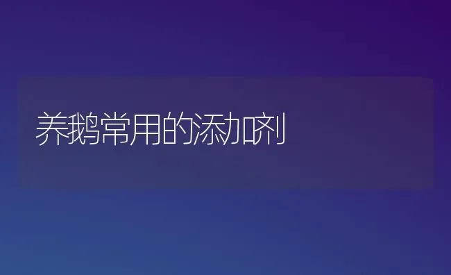 养鹅常用的添加剂 | 家禽养殖