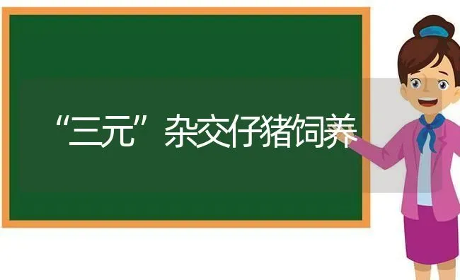 “三元”杂交仔猪饲养 | 家畜养殖
