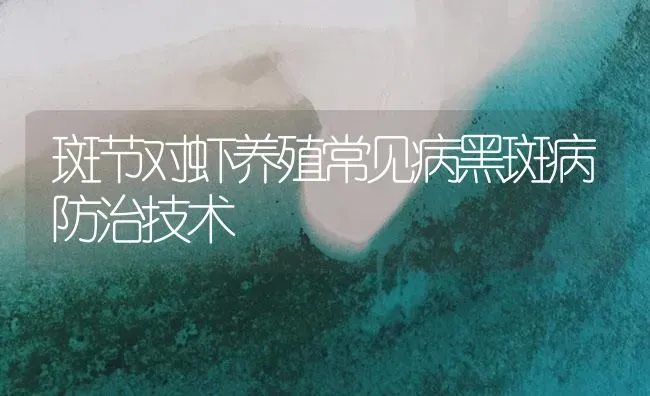 斑节对虾养殖常见病黑斑病防治技术 | 海水养殖