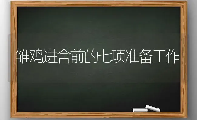 雏鸡进舍前的七项准备工作 | 家禽养殖
