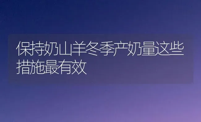 保持奶山羊冬季产奶量这些措施最有效 | 家畜养殖