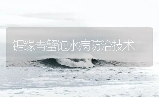 锯缘青蟹饱水病防治技术 | 海水养殖