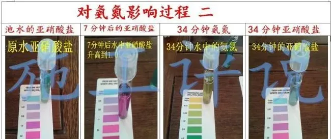 对于微生物（菌）在水产养殖中应用可能有一点创新