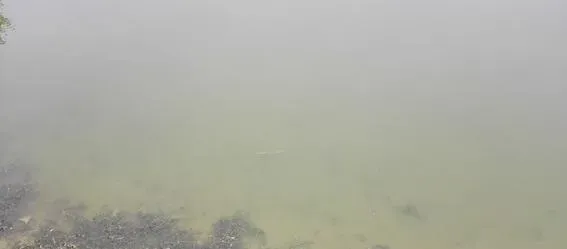 水质问题引起的河蟹爬坡的处理方法