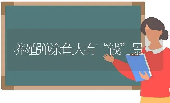 养殖弹涂鱼大有“钱”景 | 动物养殖百科