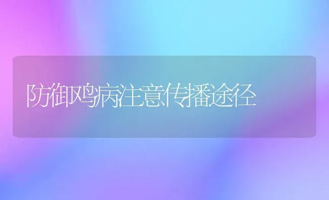 防御鸡病注意传播途径 | 家禽养殖