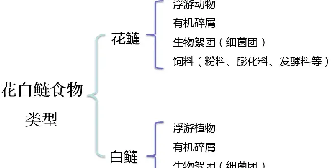 家鱼养殖想要多赚钱，这套花白鲢增产增效技术学起来