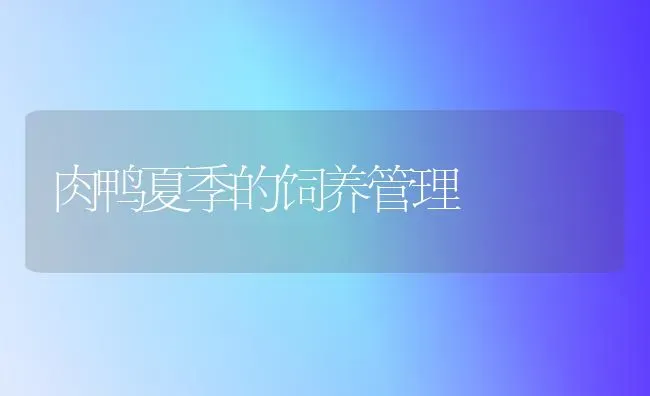 肉鸭夏季的饲养管理 | 家禽养殖