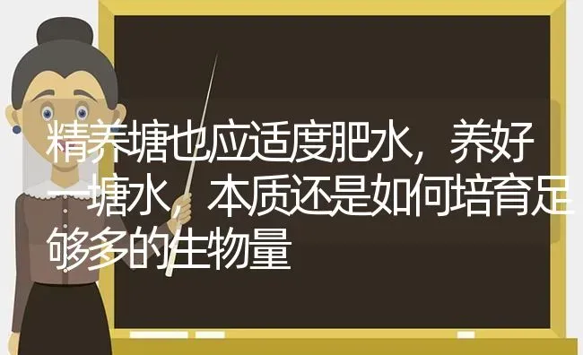 精养塘也应适度肥水，养好一塘水，本质还是如何培育足够多的生物量 | 动物养殖百科