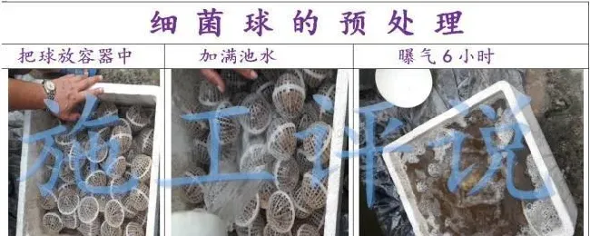 对于微生物（菌）在水产养殖中应用可能有一点创新