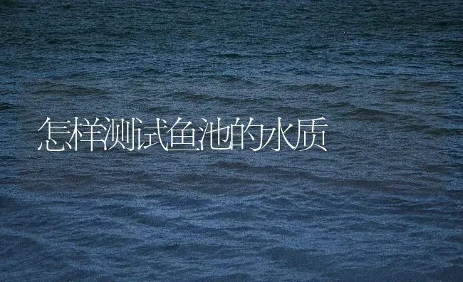 怎样测试鱼池的水质 | 动物养殖百科