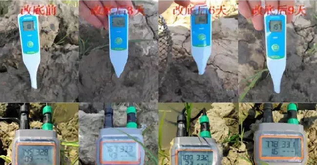 底部“氧债”，小龙虾高温上草的罪魁祸首！一招帮您解决