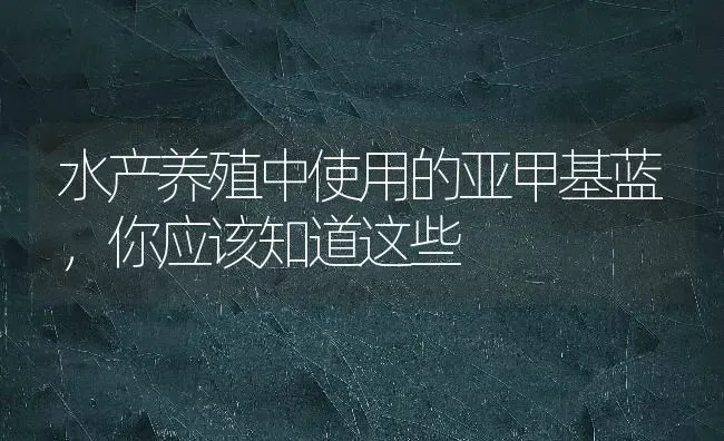 水产养殖中使用的亚甲基蓝，你应该知道这些 | 养殖病虫害防治