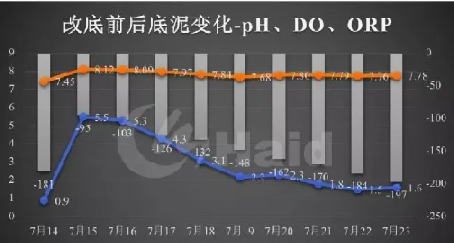 底部“氧债”，小龙虾高温上草的罪魁祸首！一招帮您解决