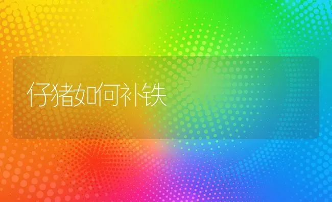 仔猪如何补铁 | 家畜养殖