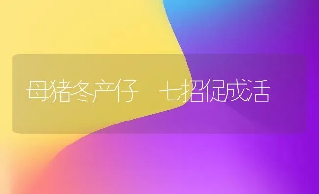 母猪冬产仔 七招促成活 | 家畜养殖