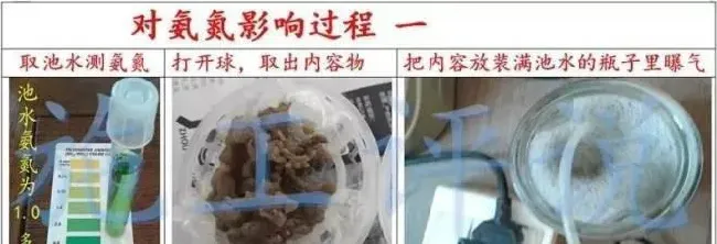 对于微生物（菌）在水产养殖中应用可能有一点创新