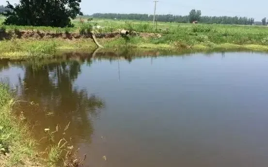 河蟹池酱油水处理