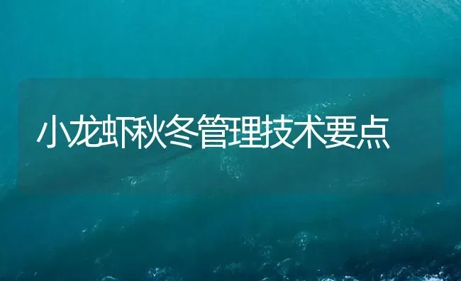 小龙虾秋冬管理技术要点 | 海水养殖