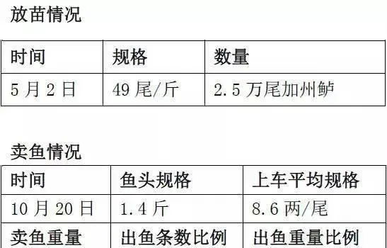 加州鲈养殖的革命时代：记录海大“全加福”的辉煌战绩