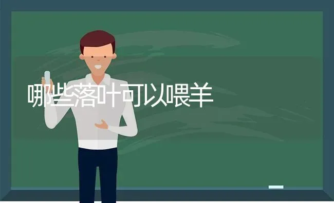 哪些落叶可以喂羊 | 家畜养殖