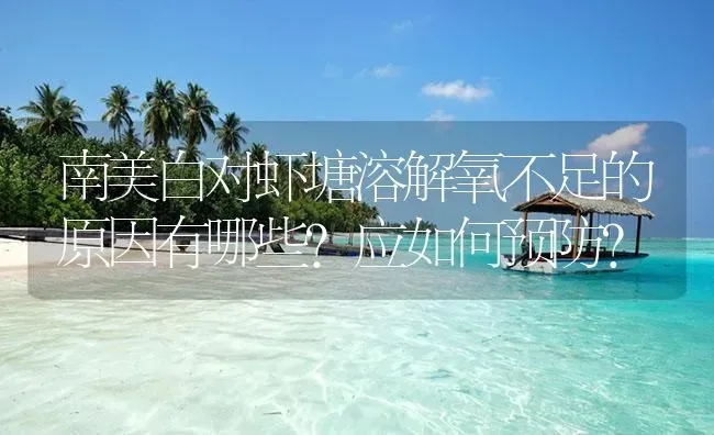 南美白对虾塘溶解氧不足的原因有哪些？应如何预防？ | 海水养殖