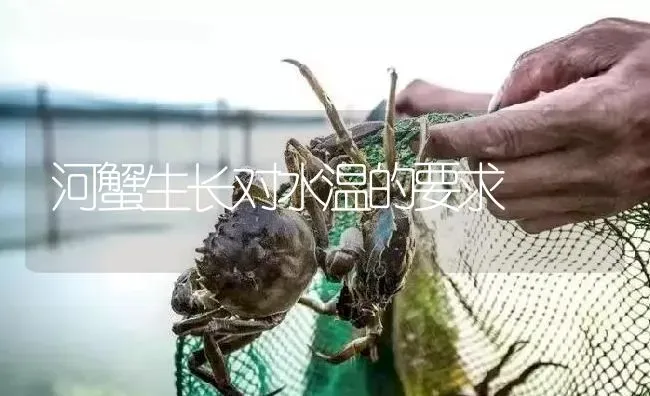 河蟹生长对水温的要求 | 淡水养殖