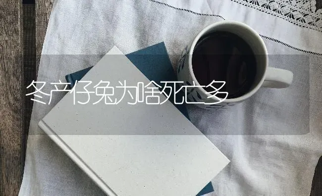 冬产仔兔为啥死亡多 | 家畜养殖