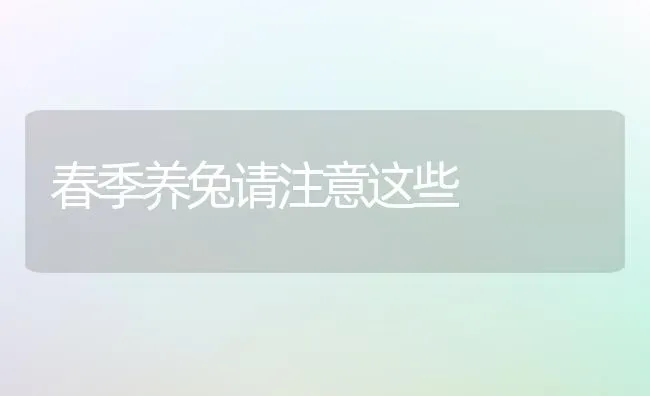 春季养兔请注意这些 | 家畜养殖