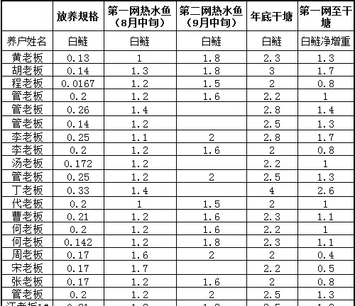 ”金九银十“，花白鲢还能再长多大？