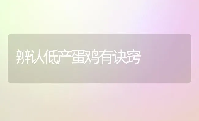 辨认低产蛋鸡有诀窍 | 家禽养殖