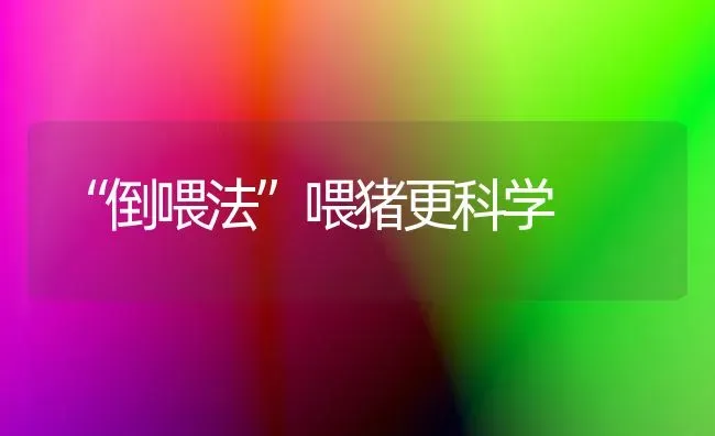 “倒喂法”喂猪更科学 | 家畜养殖