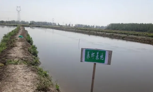 小龙虾养殖之“虾塘的建设”与投资控制