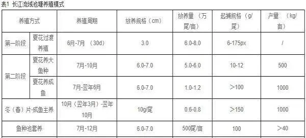 黄颡鱼苗种培育及成鱼养成技术