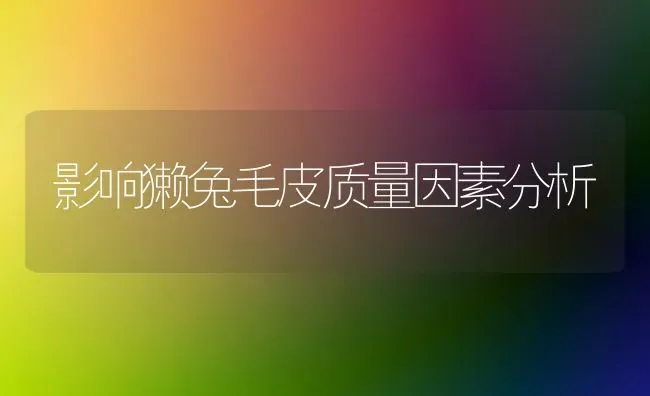 影响獭兔毛皮质量因素分析 | 家畜养殖