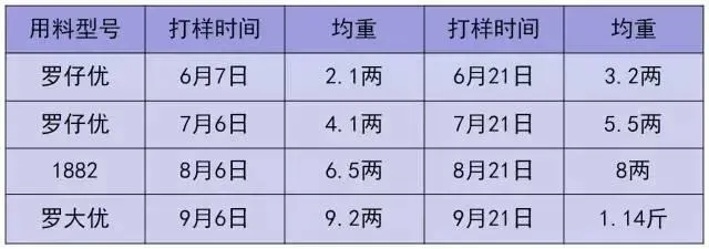 五个月出鱼九成二 让罗非鱼养殖户把钱赚到手