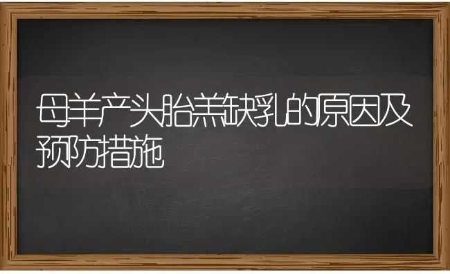 母羊产头胎羔缺乳的原因及预防措施 | 家畜养殖