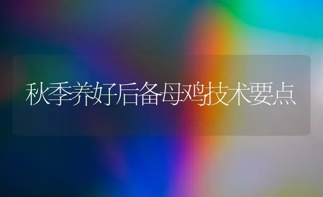 秋季养好后备母鸡技术要点 | 家禽养殖