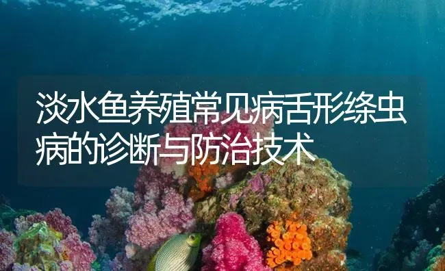 淡水鱼养殖常见病舌形绦虫病的诊断与防治技术 | 养殖病虫害防治