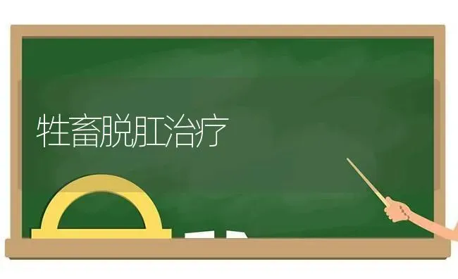 牲畜脱肛治疗 | 家畜养殖